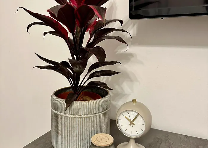 Magic Place - Beauty Nest - Center Apartment