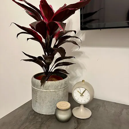 Magic Place Bergamo! Beauty Nest In The Heart Of The Διαμέρισμα